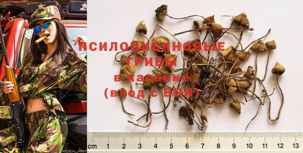экстази Алзамай