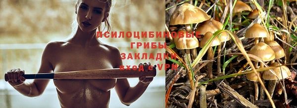 прущие крисы Алексеевка