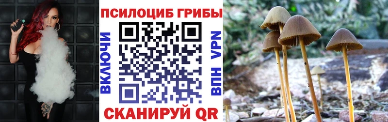 где можно купить наркотик  Санкт-Петербург  Галлюциногенные грибы прущие грибы 