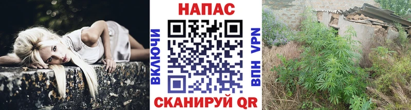KRAKEN вход  нарко площадка наркотические препараты  Марихуана Bruce Banner  Санкт-Петербург 